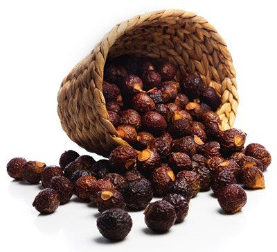 DRY SOAPNUTS BIG-500gms
